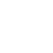 View All Services